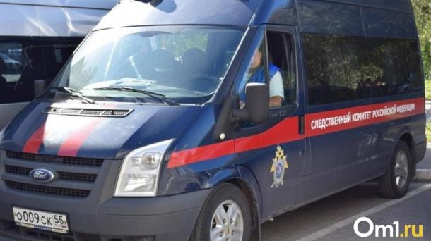 Глава СК Бастрыкин заинтересовался разрушающимся омским памятником