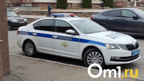 Омского газового дебошира на велосипеде задержали