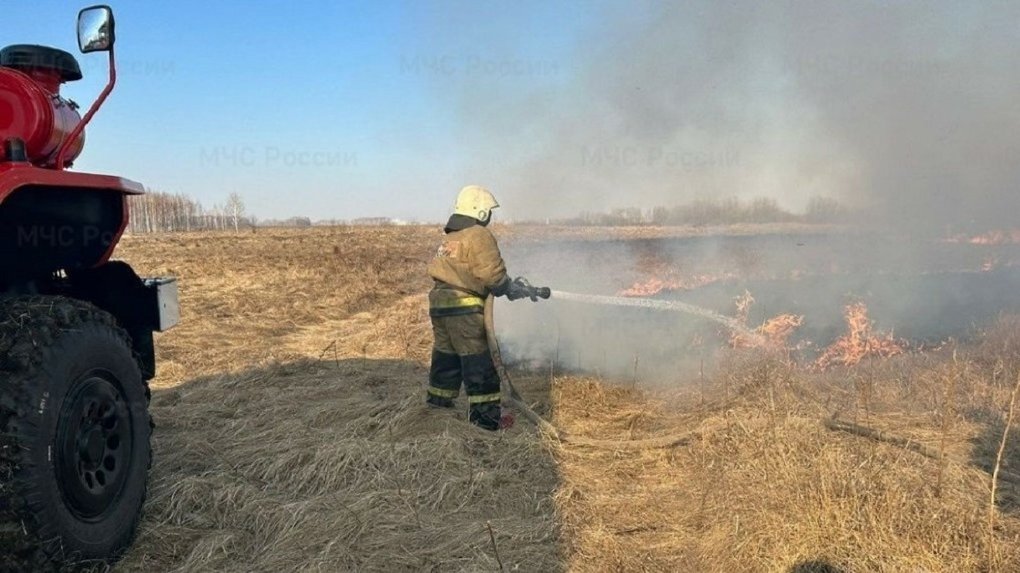 Омск заволокло дымкой от нескольких пожаров: где и что горит