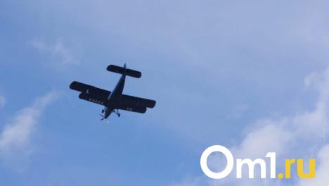 В Омске ищут финансового менеджера для строительства аэропорта Омск-Фёдоровка