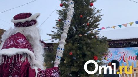 Новогодняя сказка от МЧС: спасатели поздравляют детей в Новосибирской области