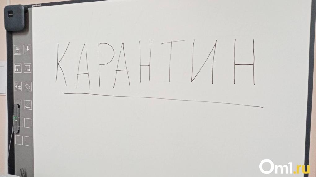 В омских школах и детских садах начали вводить карантин из-за высокой заболеваемости