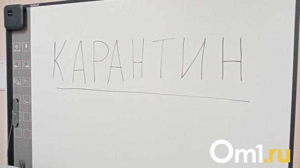 В омских школах и детских садах начали вводить карантин из-за высокой заболеваемости