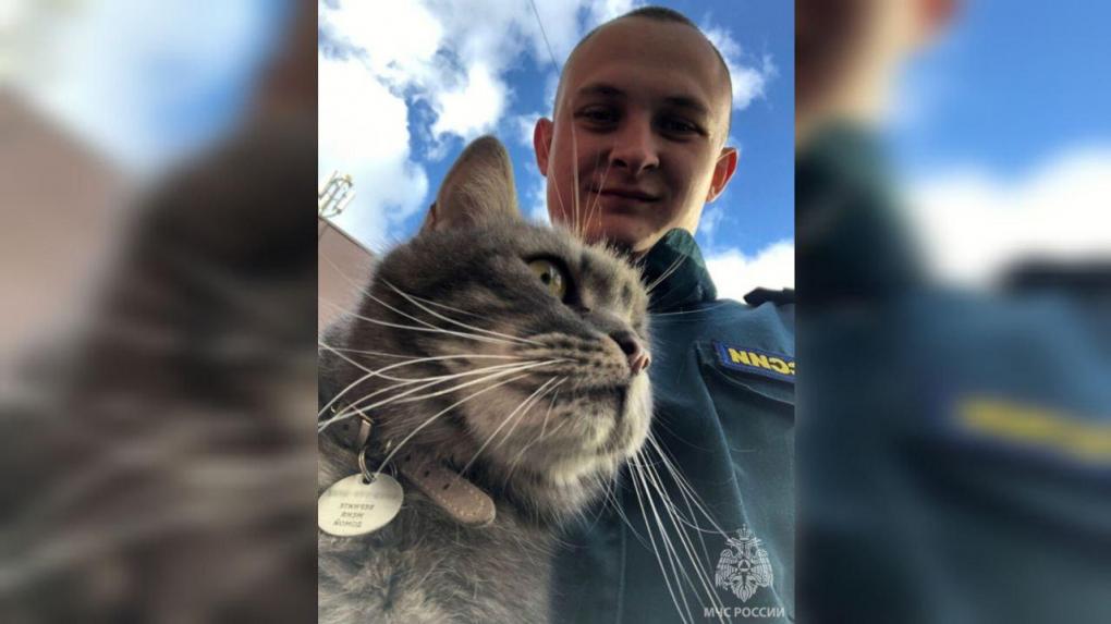 «Жалобно мяукал»: пожарный спас попавшего в беду кота в Новосибирске