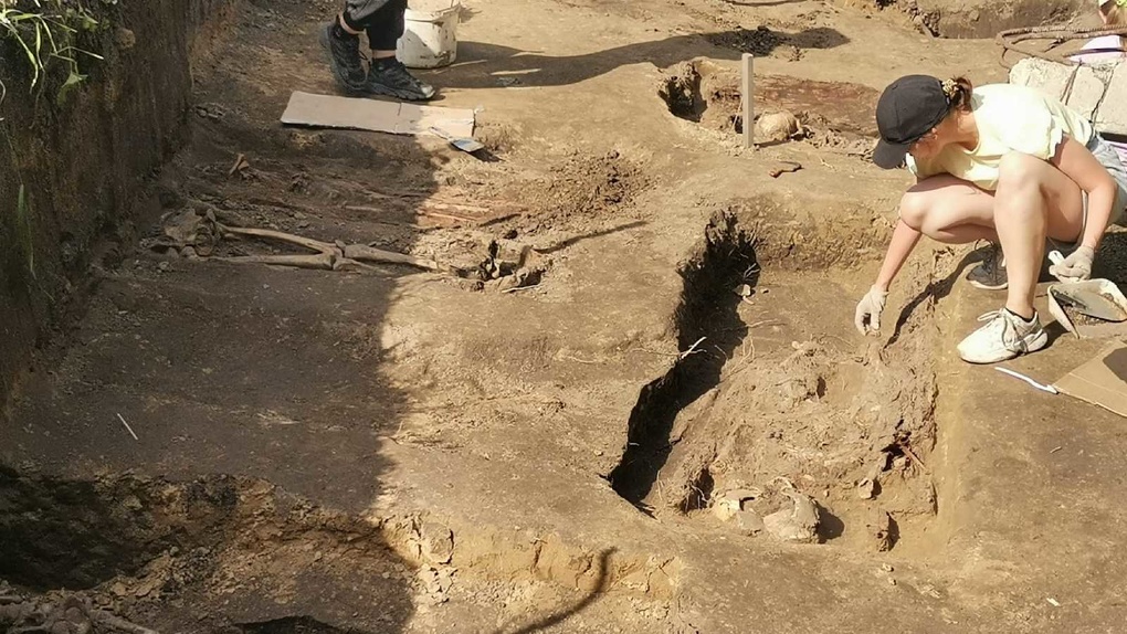 Под Омском томские археологи на средневековом могильнике нашли редчайшее золотое украшение