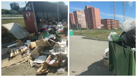 «Мусор растёт и пахнет»: мигранты превратили в огромную свалку двор в Новосибирске