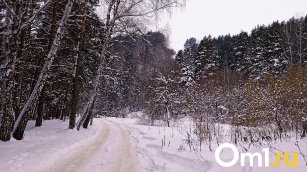 После косуль в Омскую область пришли новые дикие животные