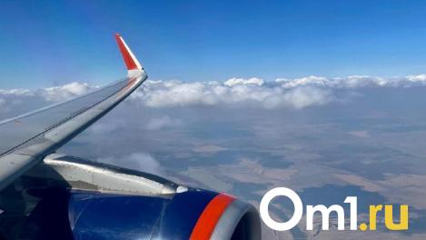 Стало известно, куда омичи чаще всего летали в этом году