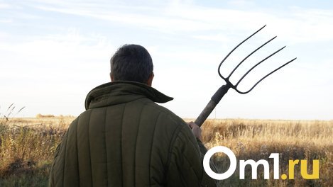 Жителя Омской области будут судить за кражу соломы