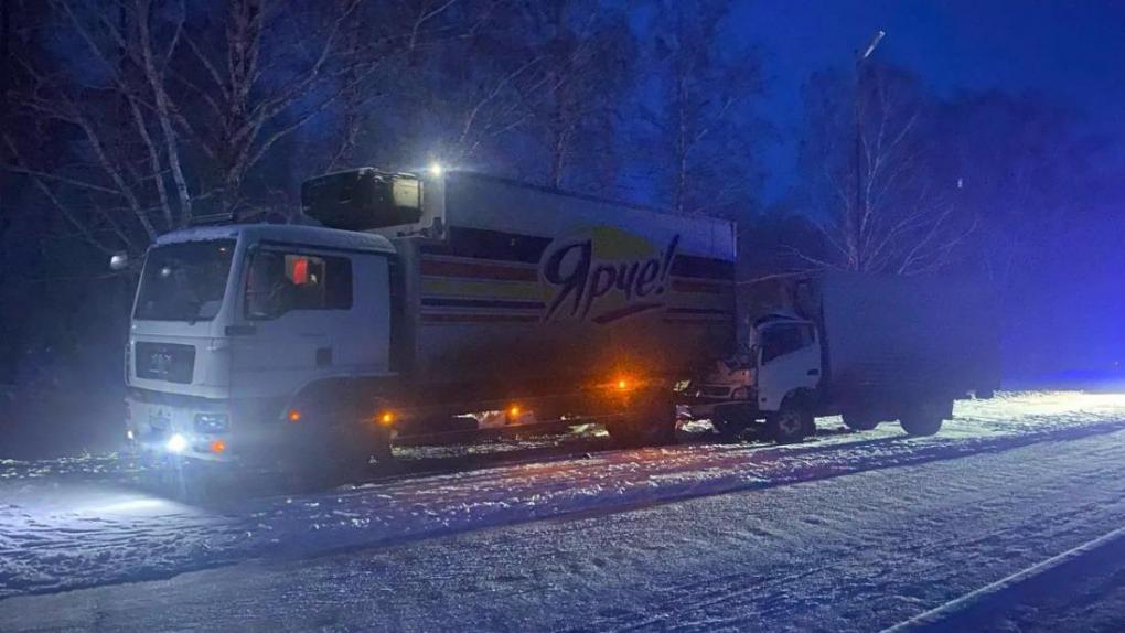 Водитель грузовика под Новосибирском врезался в фуру и погиб