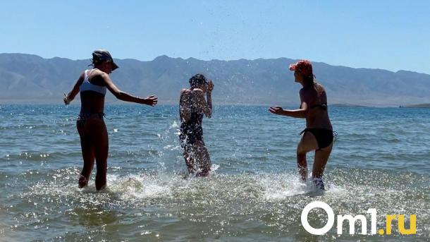 Доставайте купальники: жару в +30 °C обещают на выходных 15 и 16 июня в Новосибирске