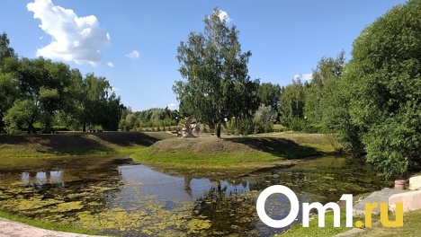 Омичей приглашают в дендросад бесплатно посмотреть кино в окружении экзотических растений