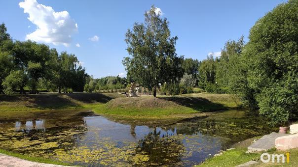 Омичей приглашают в дендросад бесплатно посмотреть кино в окружении экзотических растений