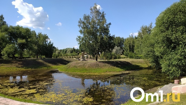 Омичей приглашают в дендросад бесплатно посмотреть кино в окружении экзотических растений