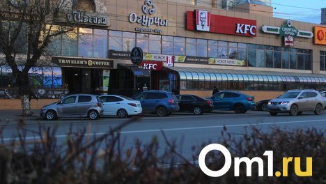 «Нас волей-неволей жизнь заставит»: депутаты предложили ускорить работу над платными парковками в Омске