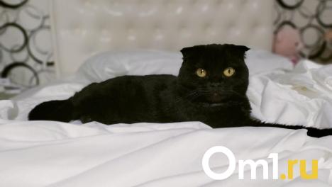 Последняя пятница, 13-е в 2024 году: приметы и суеверия