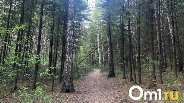 Природа, загар и лечение: куда съездить отдохнуть в Новосибирской области