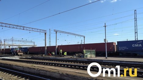 Стало известно, чей труп нашли у железнодорожных путей на улице Хабаровская в Омске