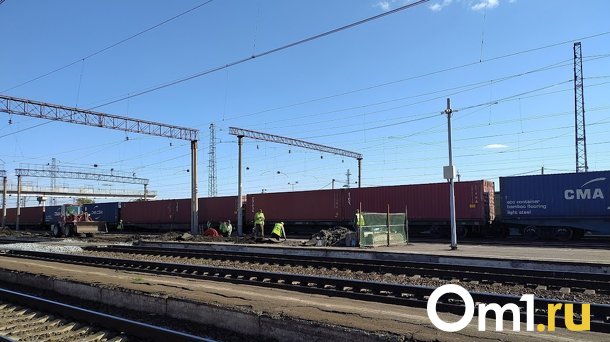 Стало известно, чей труп нашли у железнодорожных путей на улице Хабаровская в Омске