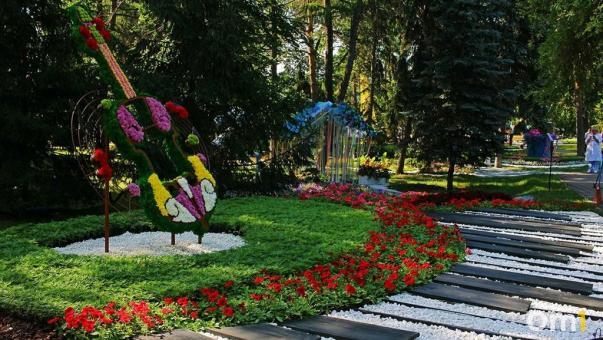 В Омске потратят четыре миллиона на рассаду цветов для «Флоры-2025»