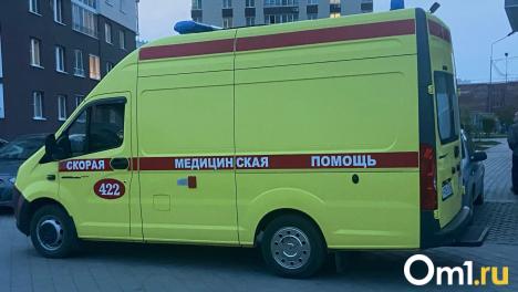 Мотоцикл почти не пострадал: в Омске байкер погиб после столкновения с КамАЗом
