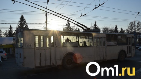 В канун Нового года с омичкой произошла неприятная ситуация в троллейбусе