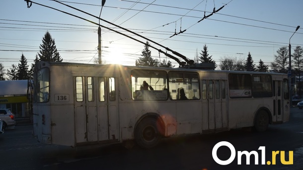 В канун Нового года с омичкой произошла неприятная ситуация в троллейбусе