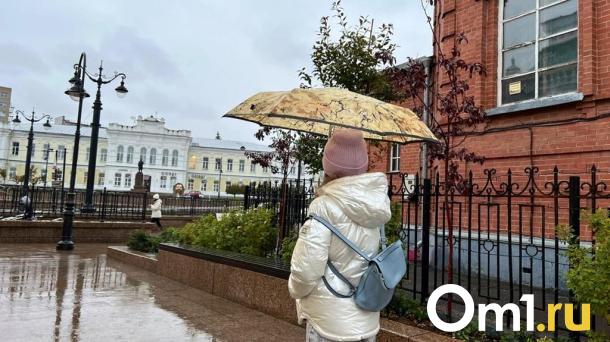 Помимо снега и похолодания, погода готовит омичам ещё один сюрприз