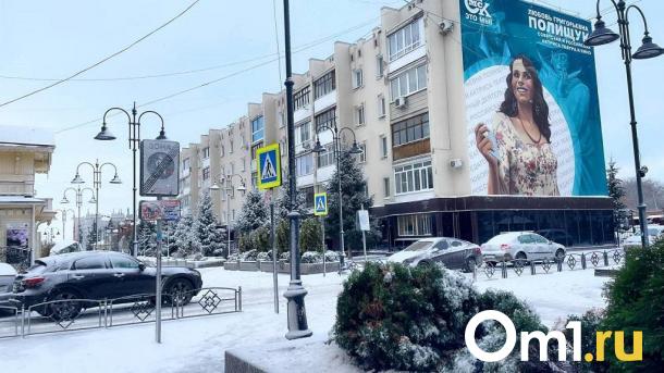 В Омск пришла зима. Последствия мощного ночного снегопада