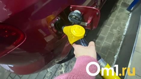 В Омске в прошлом месяце снизились цены на дизель и бензин