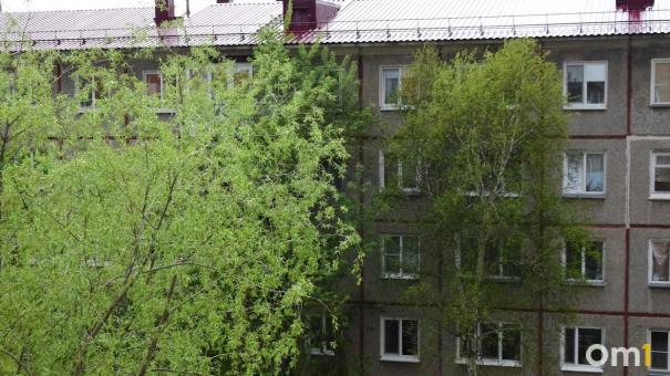 Ураганный ветер будет бушевать в Омской области до конца недели