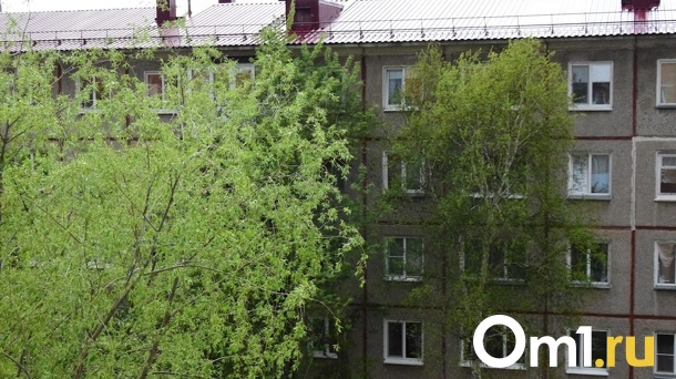 Ураганный ветер будет бушевать в Омской области до конца недели