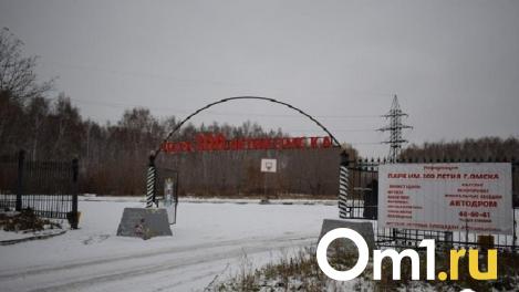 Омичам показали, как планируют преобразить парк 300-летия Омска