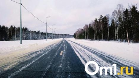 Тариф на междугородние перевозки в Омске останется прежним