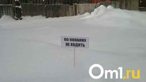 Омичи организовали в Сети магазин по продаже наркотиков под видом снега