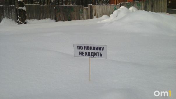 Омичи организовали в Сети магазин по продаже наркотиков под видом снега