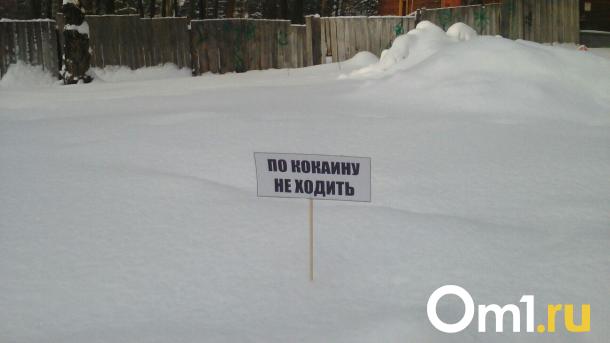 Омичи организовали в Сети магазин по продаже наркотиков под видом снега