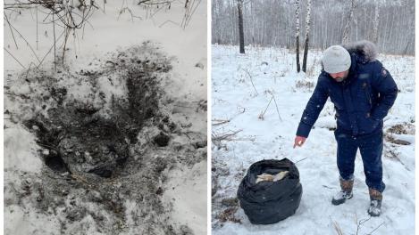 Иностранцев с наркотиками на 110 млн задержали под Новосибирском