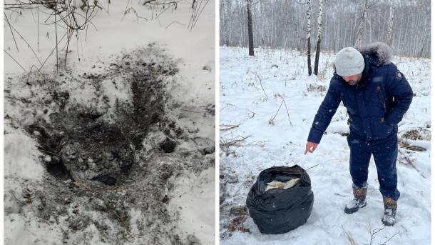 Иностранцев с наркотиками на 110 млн задержали под Новосибирском