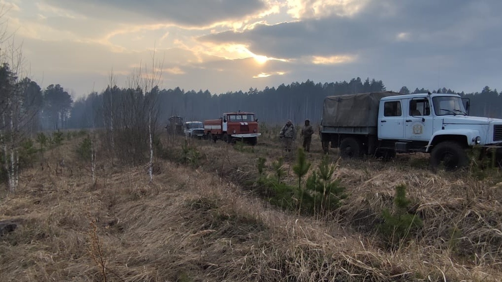 Четвёртый класс пожарной опасности прогнозируют в Называевском и Горьковском районах Омской области
