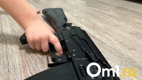 «Особо опасный ребёнок»: новосибирского школьника упекли в психбольницу за хранение оружия