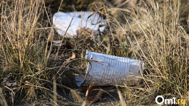 Штраф в 40 тысяч рублей получили омичи, неправильно утилизирующие мусор