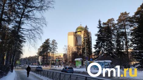 В Новосибирске потепление в феврале-2024 едва не побило рекорд 1962 года