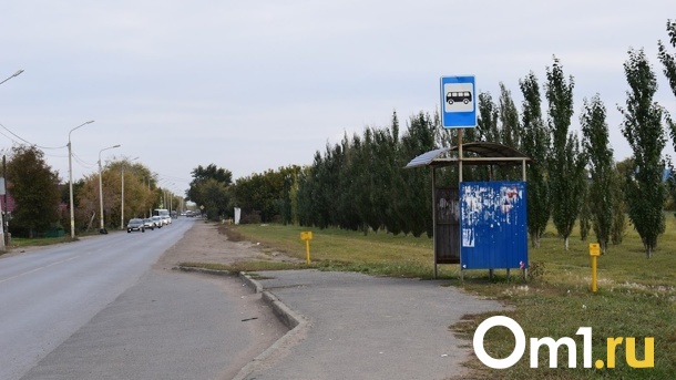 В Омске нашли девочку-подростка, пропавшую две недели назад