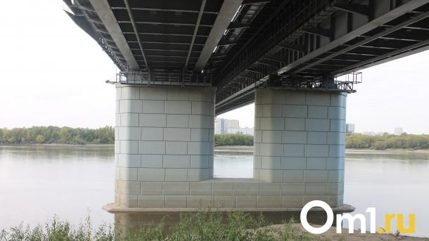 В Омске нашли подрядчика, который займётся подсветкой метромоста