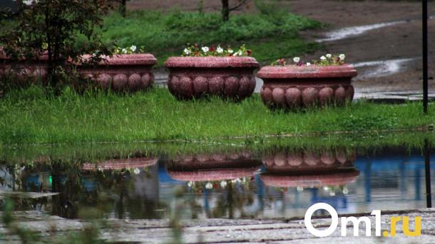 Июль в Омске начнётся с похолодания и проливных дождей