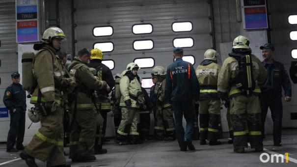 Пенсионер вместе с питомцами погиб при пожаре в Бердске