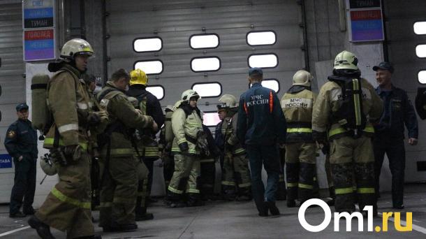 Пенсионер вместе с питомцами погиб при пожаре в Бердске