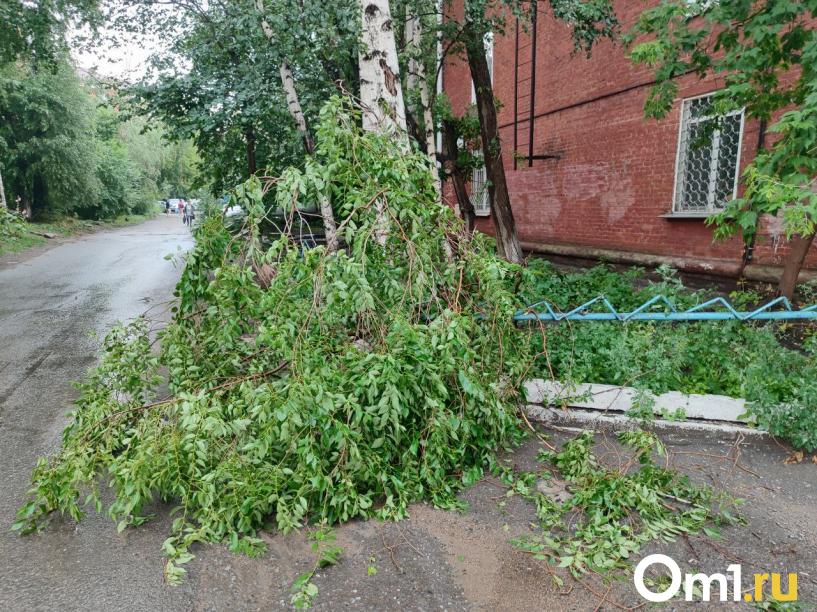 Изображение фоторепортажа