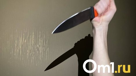 В Омске мужчина воткнул нож в грудь жены во время застолья